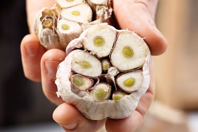 Prawdziwe skutki jedzenia czosnku – co warto wiedzieć?