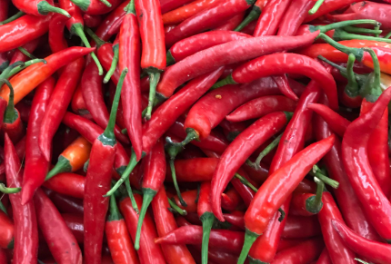 Te 3 popularne przyprawy niszczą jelita jak antybiotyki – unikaj ich jak ognia!