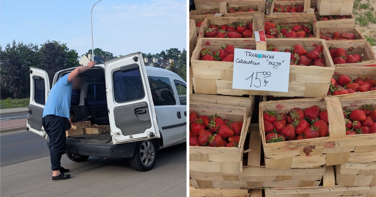 Truskawki drożeją i tracą jakość po deszczach. Ceny od 8 do 15 zł za kilogram