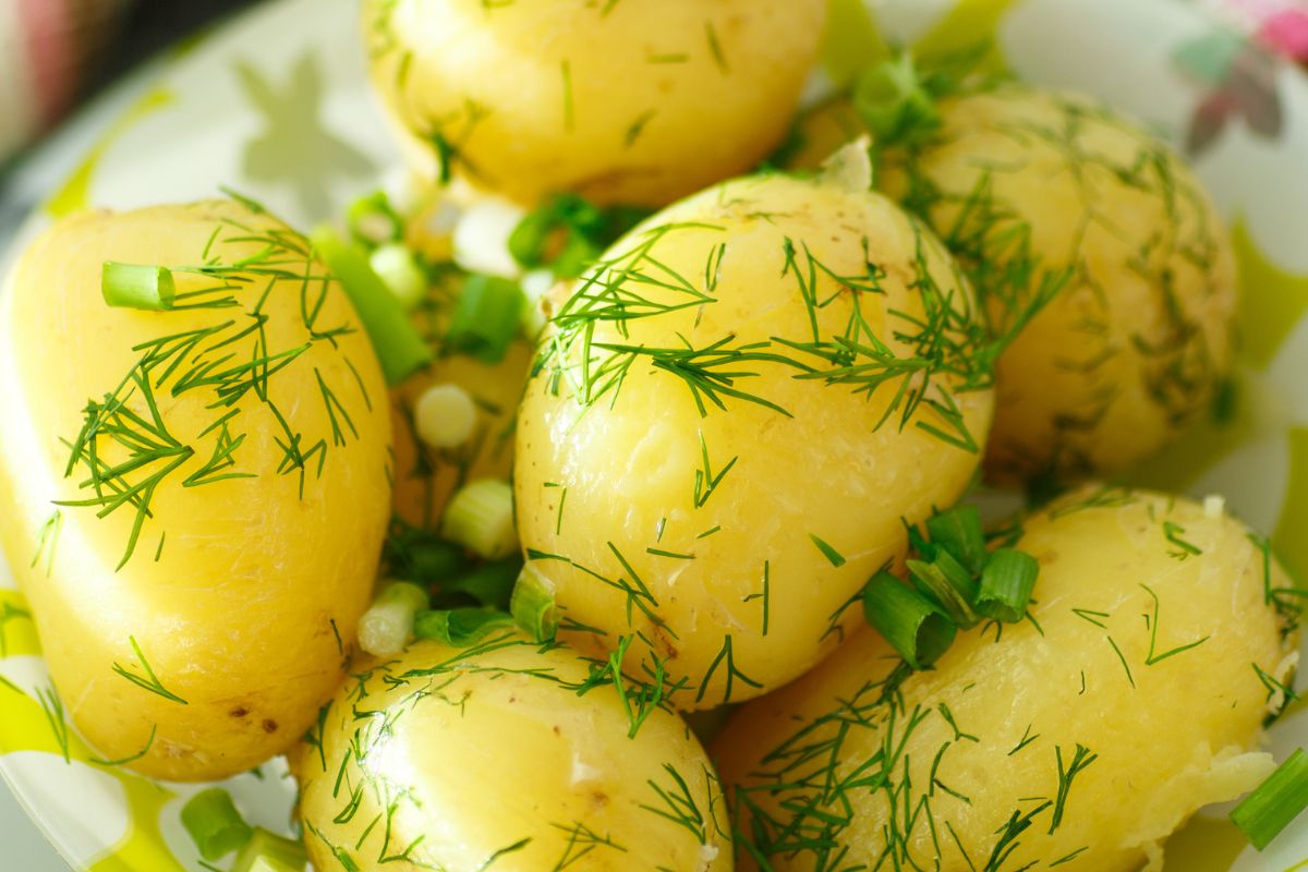 Świeży koperek: karwon i limonen łagodzą wzdęcia, suszony traci większość olejków