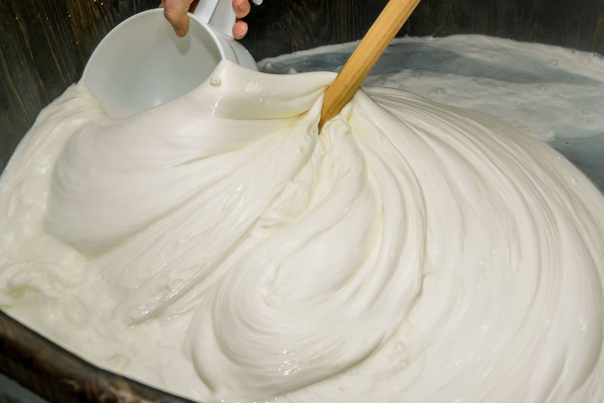 Mozzarella w diecie seniora — dużo białka, mało tłuszczu nasyconego w małej porcji